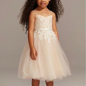 David’s Bridal Ivory and Stone Flower Girl Gown